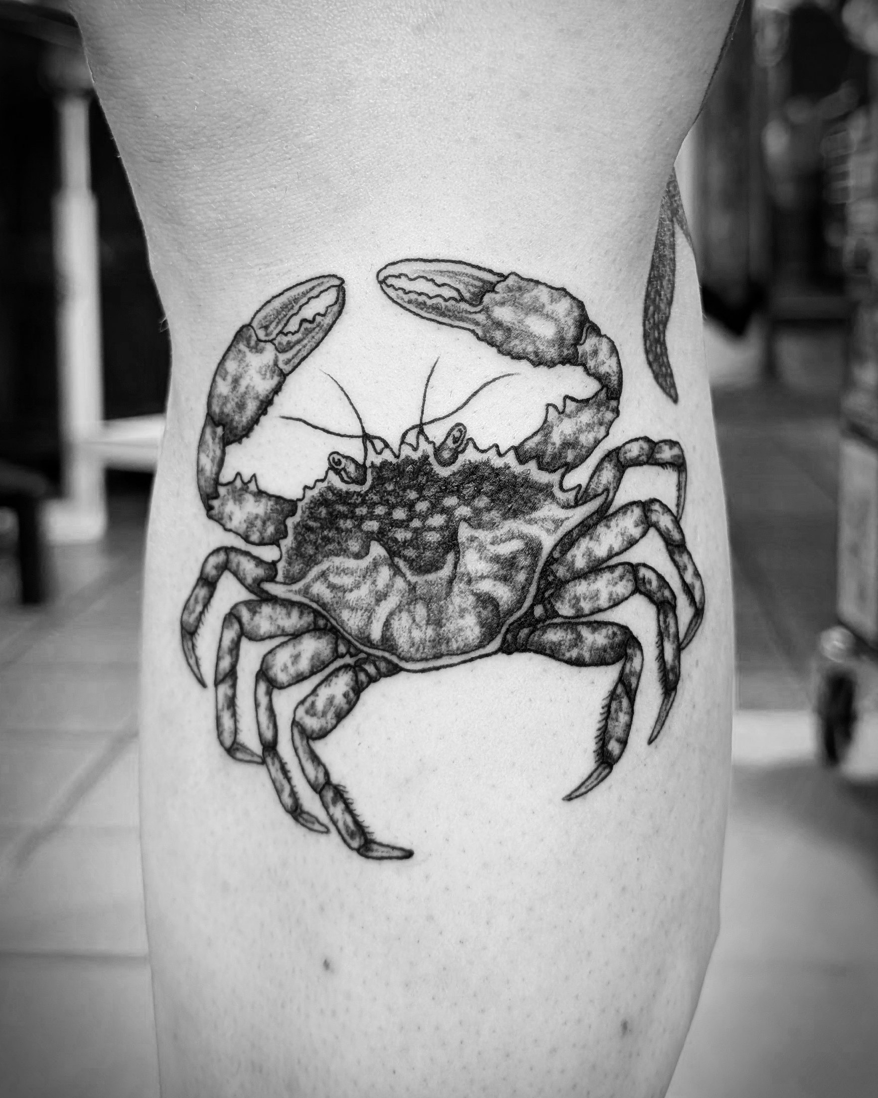 Crab – Custom

Krabbe – Custom