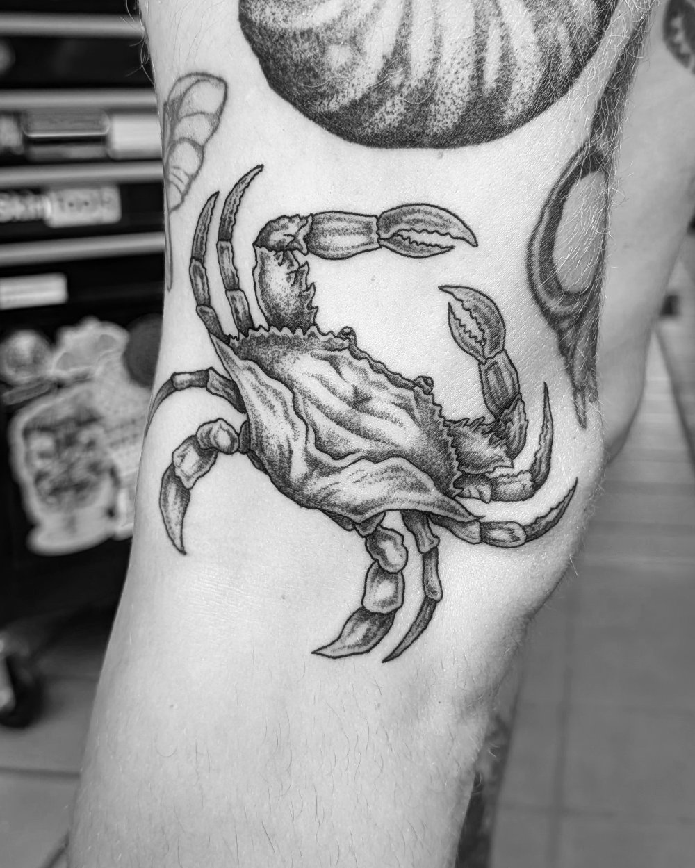 Crab – Wannado

Krabbe – Wannado